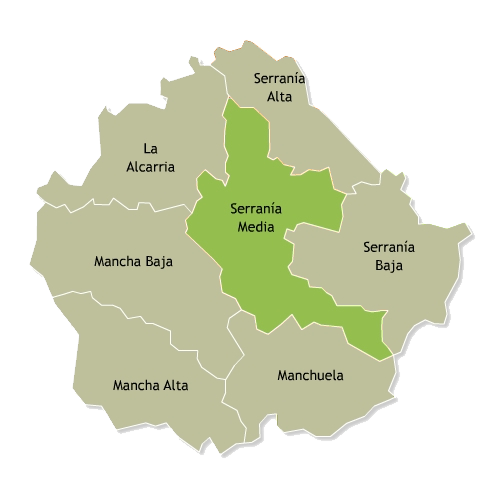 CUENCA 173